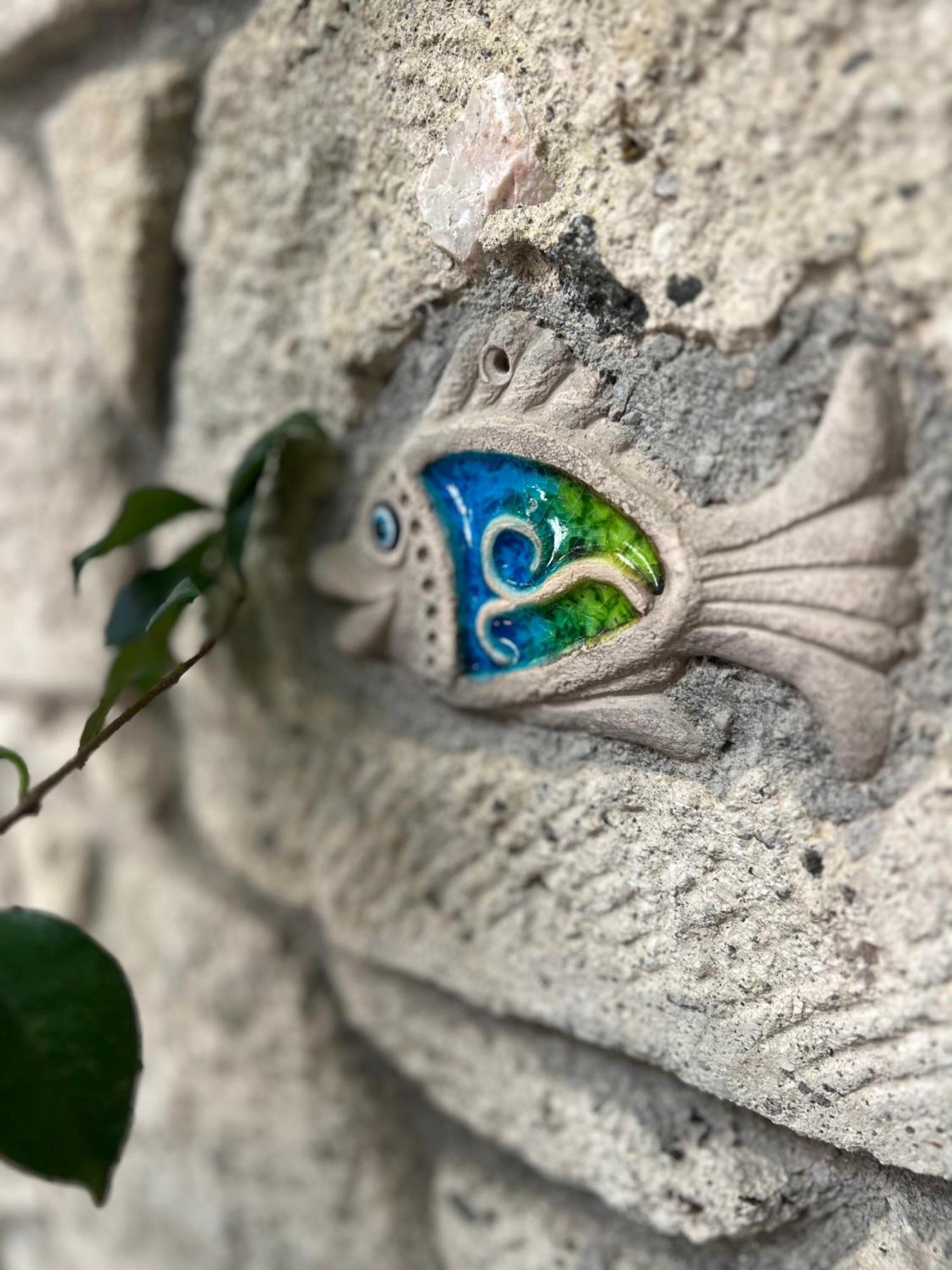 Luna אלאקאטי מראה חיצוני תמונה